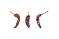 Dry chilli Royalty Free Stock Photo