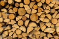 Dry chopped firewood Royalty Free Stock Photo