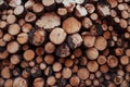 Dry chopped firewood. Close up view of the front of many logs prepared for the winter. Nature background Royalty Free Stock Photo