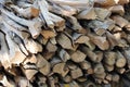 Dry chopped firewood long streak bunched together