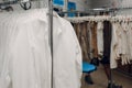 Dry cleaning clothes. Clean cloth chemical process. Laundry industrial dry-cleaning Royalty Free Stock Photo