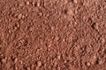 Dry cocoa powder background close up Royalty Free Stock Photo