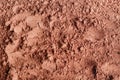 Dry cocoa powder background close up. Top view Royalty Free Stock Photo