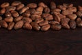 Dry cocoa seeds background