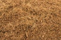 Dry coconut coir. Royalty Free Stock Photo