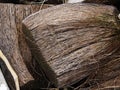 Dry Coconut Coir Royalty Free Stock Photo