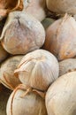 Dry coconut Royalty Free Stock Photo