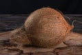 Dry coconut fruit isolated over rustic wood background Royalty Free Stock Photo