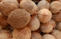 Dry coconuts for industrial processing Royalty Free Stock Photo