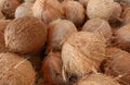Dry coconuts for industrial processing Royalty Free Stock Photo