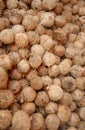 Dry coconuts for industrial processing Royalty Free Stock Photo