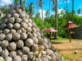 Dry coconuts for produce coconut milk Royalty Free Stock Photo