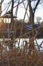 Dry cold blades of grass along the lake shore Royalty Free Stock Photo