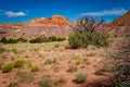 Although dry, the colors abound in the desert near Santa Fe