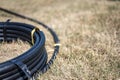 Coil of 1 inch irrigation tubing ready for new installation on top of brown and damaged dry grass. Royalty Free Stock Photo