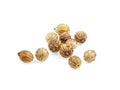 Dry coriander seeds isolated on white background, closeup Royalty Free Stock Photo
