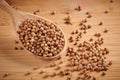 Dry coriander seeds in spoon on a wooden background. Close up view Royalty Free Stock Photo