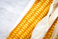 Dry corn cobs Royalty Free Stock Photo