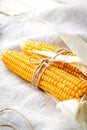 Dry corn cobs Royalty Free Stock Photo