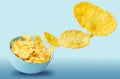 Dry corn flakes in a blue ceramic plate, some of the corn flakes are flying in the air. traditional cornflakes breakfast concept Royalty Free Stock Photo