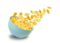 Dry corn flakes isolate in a blue ceramic plate, part of the corn flakes is flying in the air. traditional cornflakes breakfast Royalty Free Stock Photo