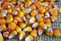 Dry corn grain Royalty Free Stock Photo