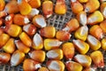 Dry corn grain Royalty Free Stock Photo