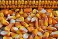 Dry corn grain Royalty Free Stock Photo
