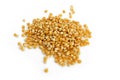 dry corn kernels