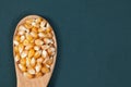 The dry corn kernels in a wooden spoon are placed on a green board with space Royalty Free Stock Photo