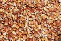 Dry corn texture Royalty Free Stock Photo