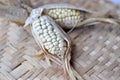 Dry corn