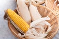 Dry Corns in basket, A basket of dry sweet corn for background Royalty Free Stock Photo