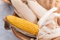 Dry Corns in basket, A basket of dry sweet corn for background Royalty Free Stock Photo