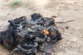 Dry cow dung for a fire in gujarat,tea is made using cow dung, natural tea ,indian village tea Royalty Free Stock Photo