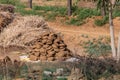 Dry cow dung lying outside Royalty Free Stock Photo