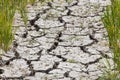 Dry crack soil in the rice field Royalty Free Stock Photo