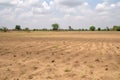 Dry cracked agricultural field due to drought, lack of water Royalty Free Stock Photo