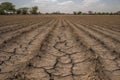 Dry cracked agricultural field due to drought, lack of water Royalty Free Stock Photo
