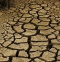 Dry cracked australian dirt during a drought