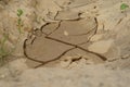 Dry cracked brown earth with some grass on the sides Royalty Free Stock Photo