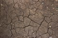 Dry cracked brown earth texture Royalty Free Stock Photo