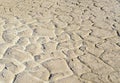 Dry cracked and caked lakebed in desert