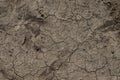 Dry, cracked dirt texture for creative background Royalty Free Stock Photo