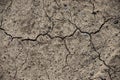 Dry, cracked dirt texture for creative background Royalty Free Stock Photo