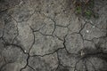 Dry, cracked dirt texture for creative background Royalty Free Stock Photo