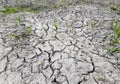 Arid dry soil soil cracked with large cracks due to drought in the field gray burst Royalty Free Stock Photo