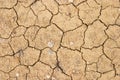 Dry cracked earth Royalty Free Stock Photo