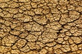 Dry cracked earth Royalty Free Stock Photo