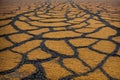 Dry cracked earth in the arid desert Royalty Free Stock Photo